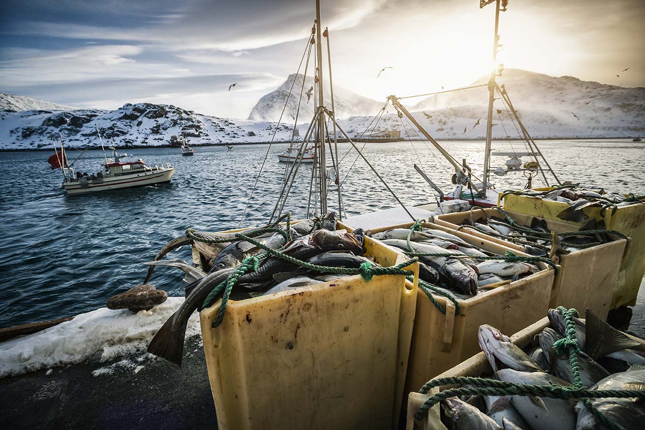 Lorem Ipsum Dolar Fishing Safety Webinar